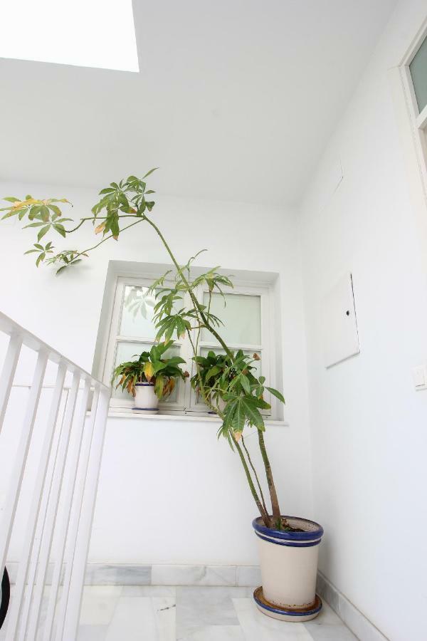 Apartamento Centro San Luis Sevilla Dış mekan fotoğraf